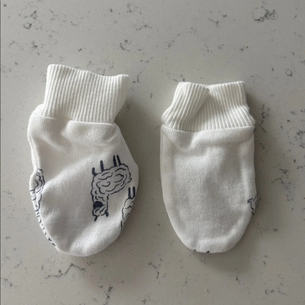 Baby Mittens- Set of 3
